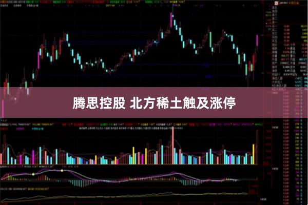 腾思控股 北方稀土触及涨停