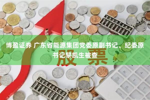 博盈证券 广东省能源集团党委原副书记、纪委原书记黎凯生被查