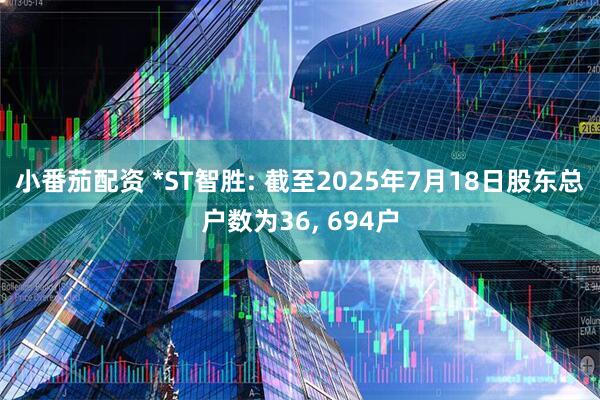 小番茄配资 *ST智胜: 截至2025年7月18日股东总户数为36, 694户