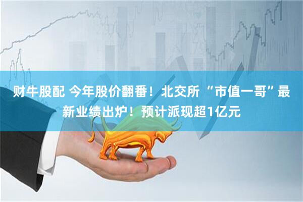 财牛股配 今年股价翻番！北交所 “市值一哥”最新业绩出炉！预计派现超1亿元